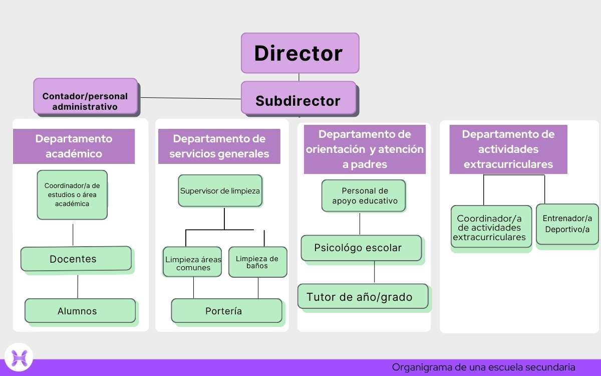 Organigrama de una escuela | Primaria y secundaria