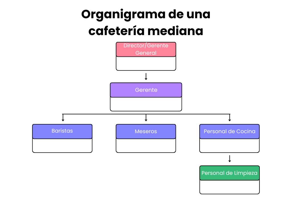 Organigrama de una cafetería mediana